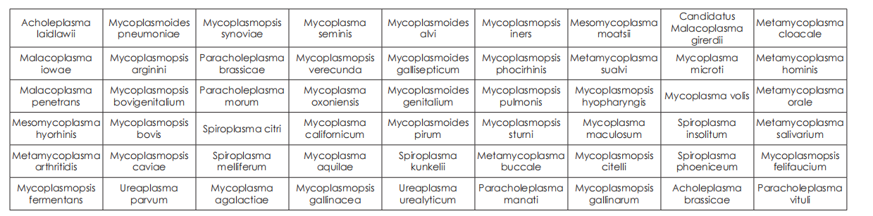 可檢測(cè) 54 種支原體 可檢測(cè) 54 種支原體
