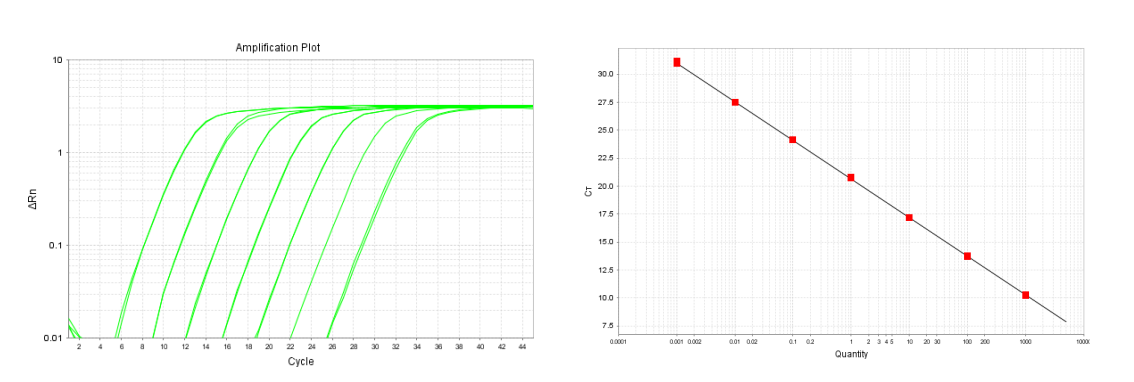 擴增效率高 擴增效率高