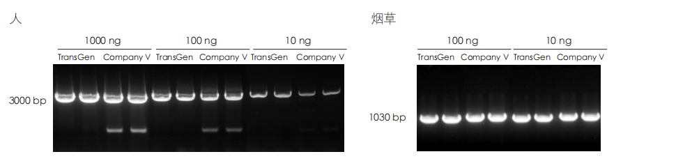 PCR 檢測 PCR 檢測