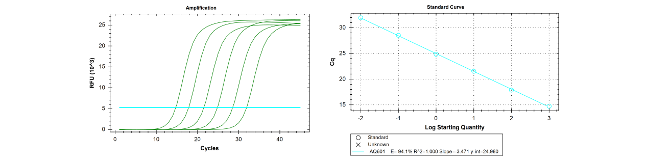 擴增效率高 擴增效率高