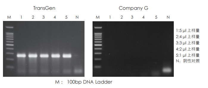 抗抑制性強(qiáng) 抗抑制性強(qiáng)