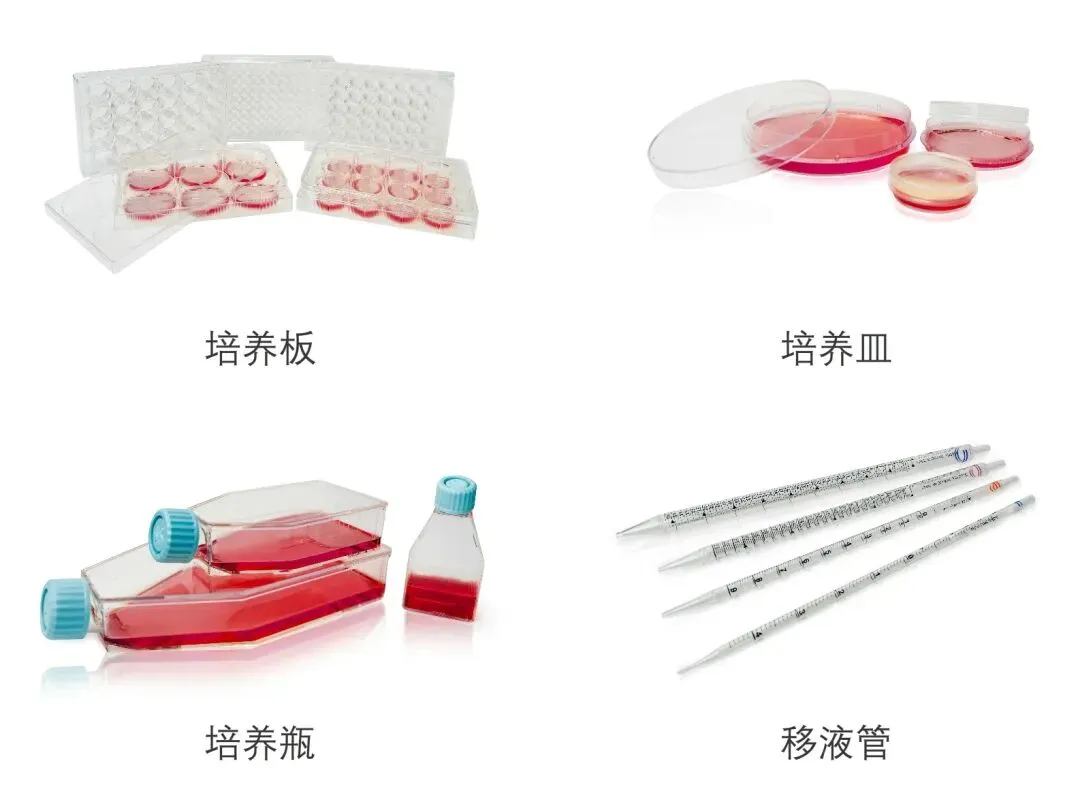 細(xì)胞培養(yǎng)相關(guān)耗材 細(xì)胞培養(yǎng)相關(guān)耗材