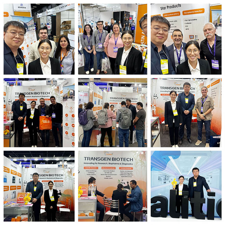 展會現(xiàn)場 展會現(xiàn)場